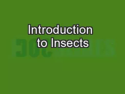 Introduction to Insects