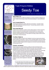 What is Seedy Toe?