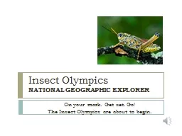 Insect Olympics