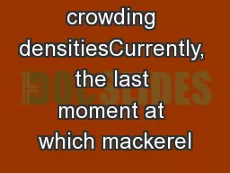 impact crowding densitiesCurrently, the last moment at which mackerel