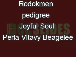 Rodokmen  pedigree  Joyful Soul Perla Vltavy Beagelee