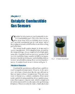 Catalytic Combustible Gas SensorsCatalytic Combustibleatalytic bead se