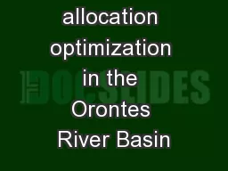 Water allocation optimization in the Orontes River Basin