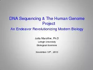 DNA Sequencing & The Human Genome
