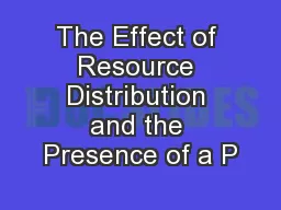 The Effect of Resource Distribution and the Presence of a P