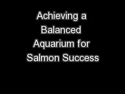Achieving a Balanced Aquarium for Salmon Success