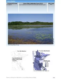 Tomorrow’s Habitat for the Wild and Rare: An Action Plan for Mi