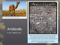 Aridisoils