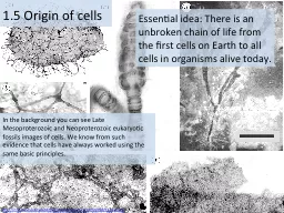 1.5 Origin of cells