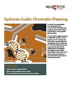 EpiGenie Guide: Chromatin Shearing