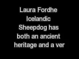 Laura Fordhe Icelandic Sheepdog has both an ancient heritage and a ver