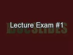 Lecture Exam #1