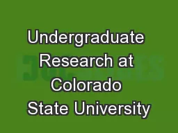 Undergraduate Research at Colorado State University