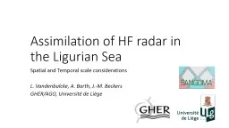 Assimilation of HF radar in the