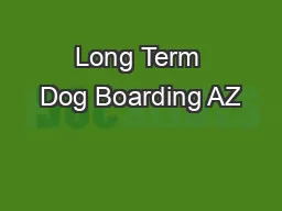Long Term Dog Boarding AZ
