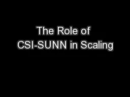 The Role of CSI-SUNN in Scaling