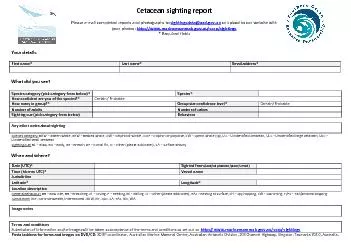Cetacean sighting report
