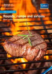 Rounds, rumps and sirloinsBeef cattle market res up