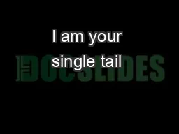 I am your single tail & sjambok…