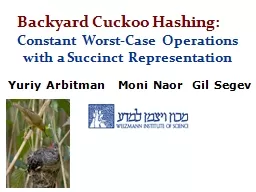 Backyard Cuckoo Hashing: