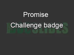 Promise Challenge badge