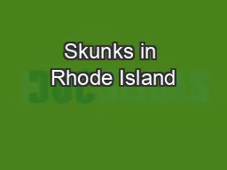 Skunks in Rhode Island