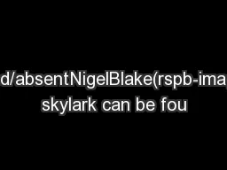 PresentLimited/absentNigelBlake(rspb-images.com)The skylark can be fou