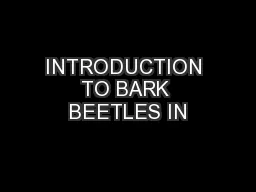 INTRODUCTION TO BARK BEETLES IN