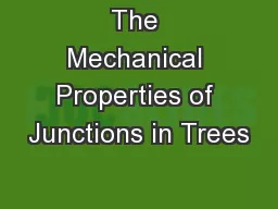 The Mechanical Properties of Junctions in Trees