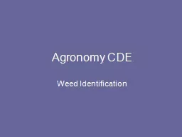Agronomy CDE