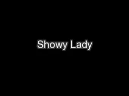 Showy Lady