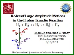 Roles of Large Amplitude Motions
