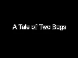 A Tale of Two Bugs