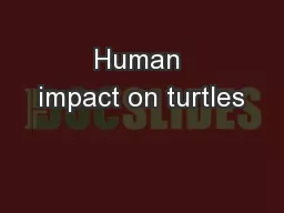 Human impact on turtles
