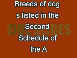 Breeds of dog s listed in the Second Schedule of the A