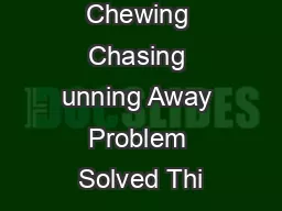 Digging Chewing Chasing unning Away Problem Solved Thi