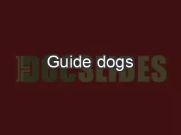 Guide dogs