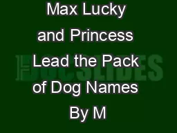 Max Lucky and Princess Lead the Pack of Dog Names By M