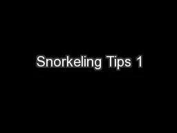 Snorkeling Tips 1
