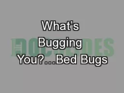 What’s Bugging You?…Bed Bugs