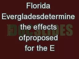 The South Florida Evergladesdetermine the effects ofproposed for the E