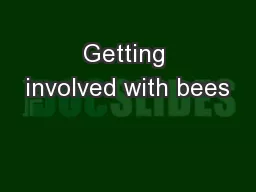 Getting involved with bees