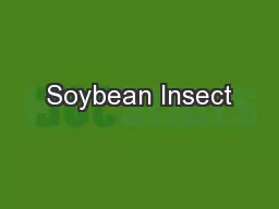 Soybean Insect