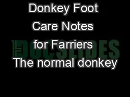Donkey Foot Care Notes for Farriers The normal donkey
