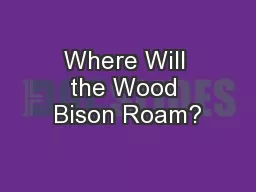 Where Will the Wood Bison Roam?