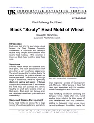 Each year, just prior to and during wheat harvest, the Plant disease d