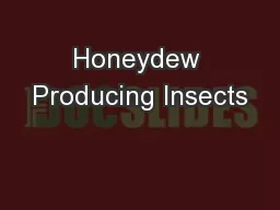 Honeydew Producing Insects