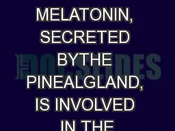 THE HORMONE MELATONIN, SECRETED BYTHE PINEALGLAND, IS INVOLVED IN THE