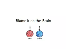 Blame It on the Brain