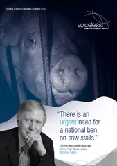 There is an urgent need for a national ban on sow stalls.”